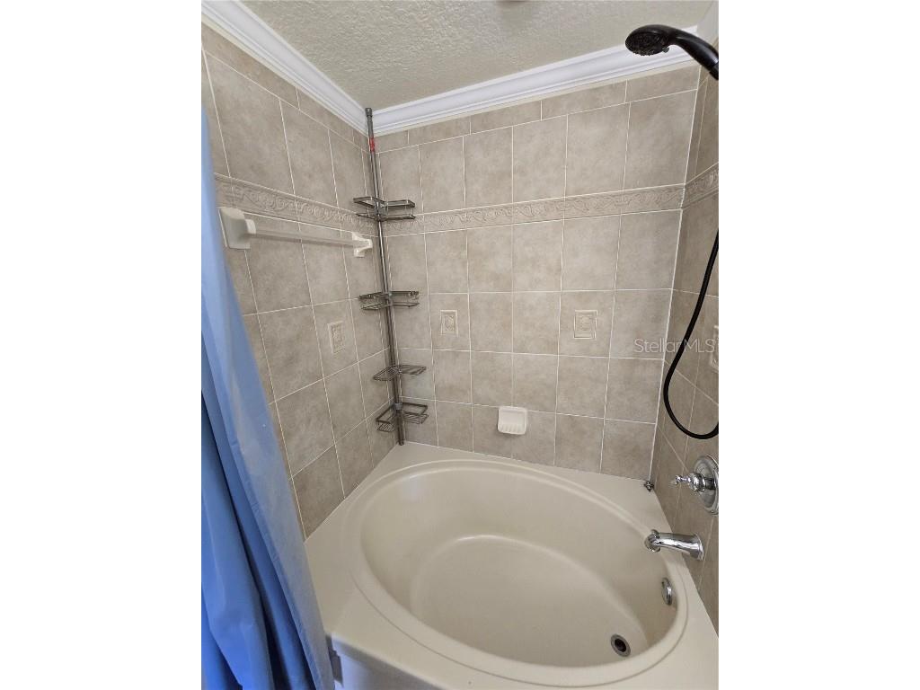6262 Maisie Road Zephyrhills FL 33542 TB8419445 image12