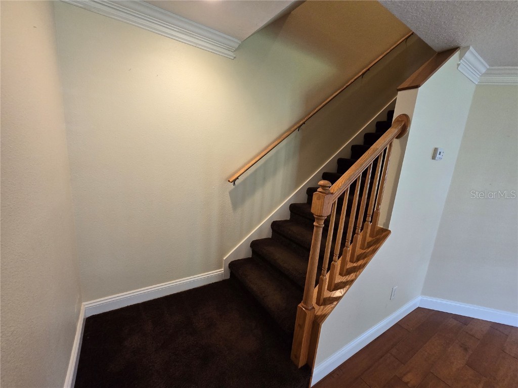 6262 Maisie Road Zephyrhills FL 33542 TB8419445 image8