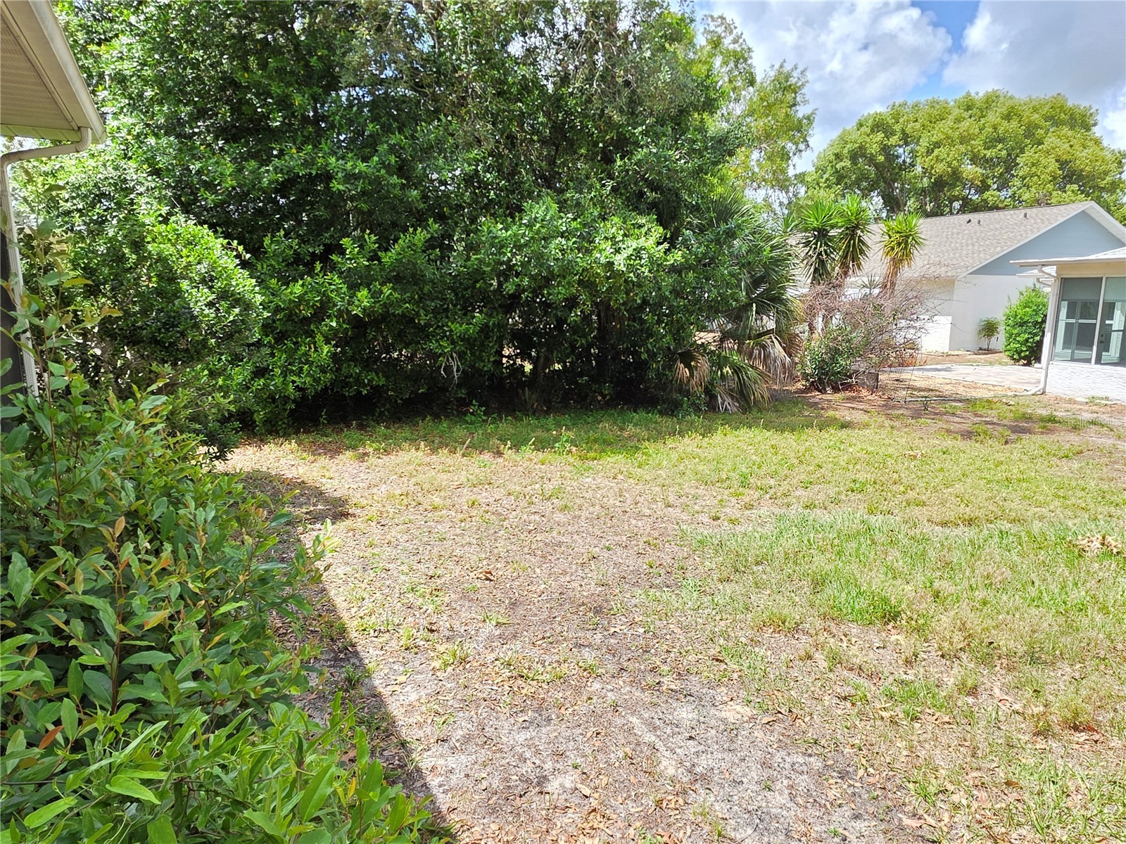 6264 Darien Way Spring Hill FL 34606 W7885298 image19