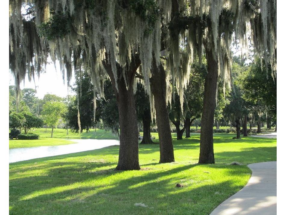 6264 W Glynborne Loop Crystal River FL 34429 TB8432894 image59