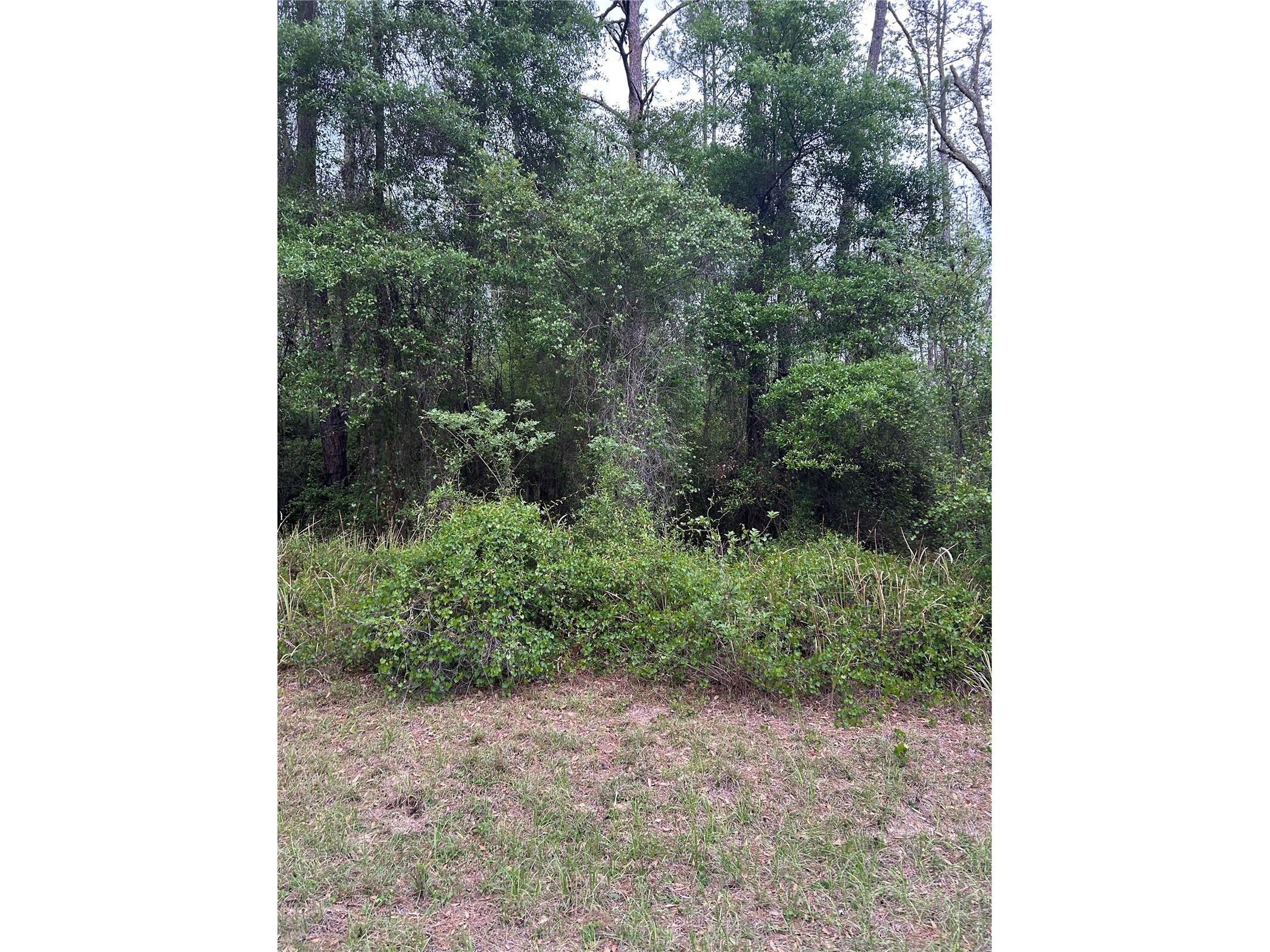 6265 N Allston Terrace Dunnellon FL 34433 S5147618 image1