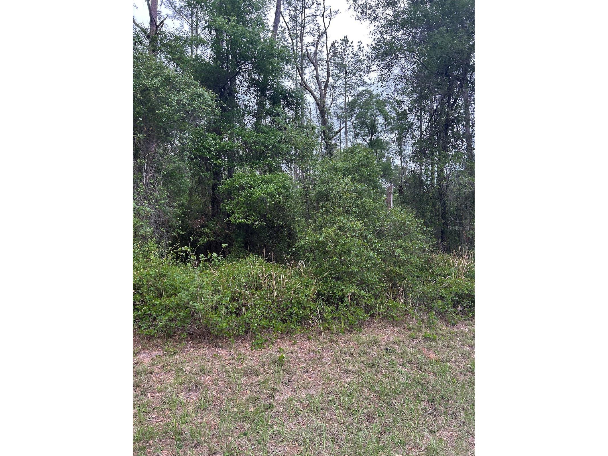 6265 N Allston Terrace Dunnellon FL 34433 S5147618 image2