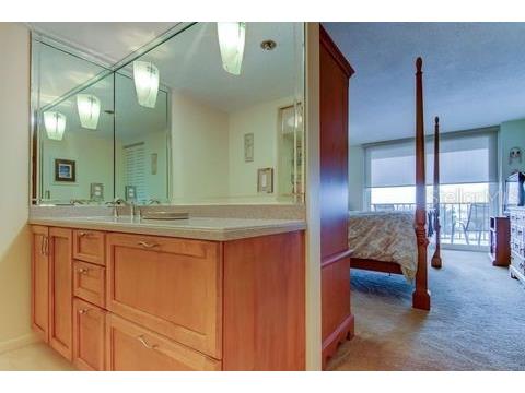 6265 Sun Boulevard #805 Saint Petersburg FL 33715 TB8461848 image25