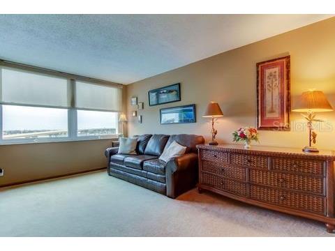 6265 Sun Boulevard #805 Saint Petersburg FL 33715 TB8461848 image29