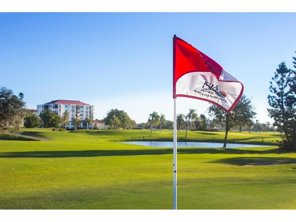 6265 Sun Boulevard #805 Saint Petersburg FL 33715 TB8461848 image37