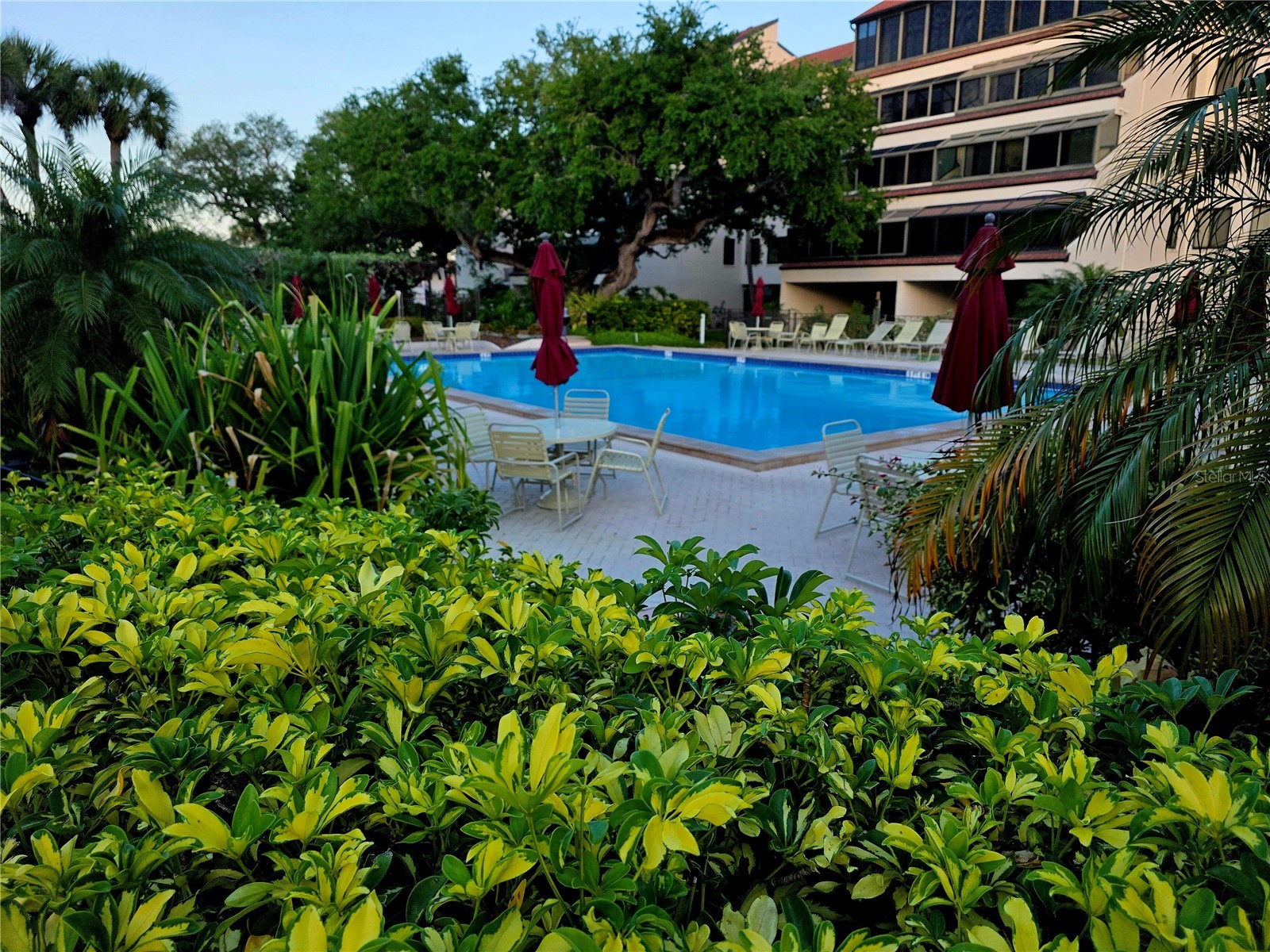 6266 Midnight Pass Road #404 Sarasota FL 34242 - GULF OF AMERICA A4695534 image58