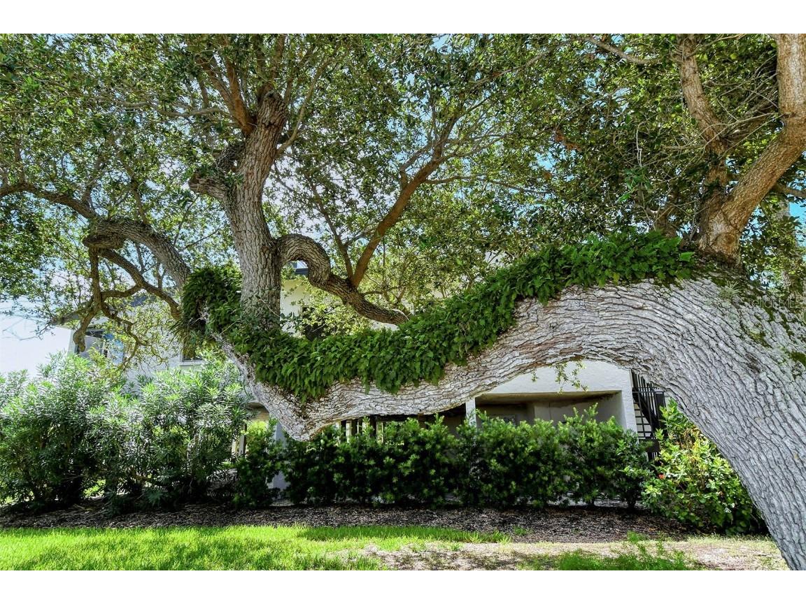 6267 Midnight Pass Road #306 Sarasota FL 34242 A4647581 image58