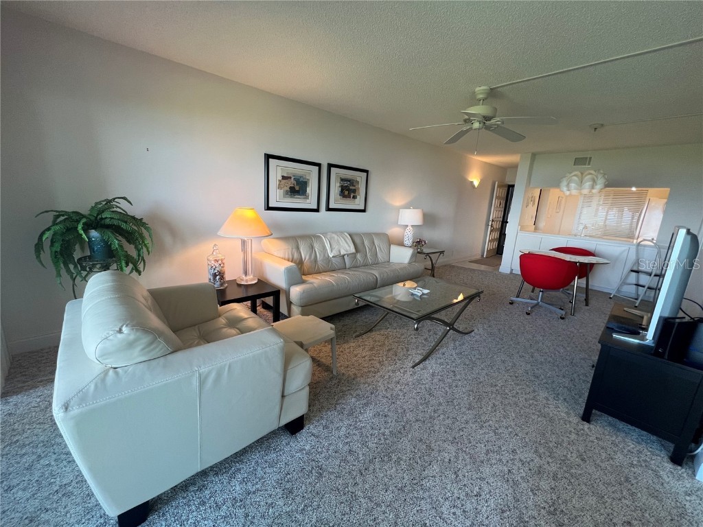 6268 Palma Del Mar Boulevard S #109 Saint Petersburg FL 33715 - TAMPA BAY TB8407893 image21