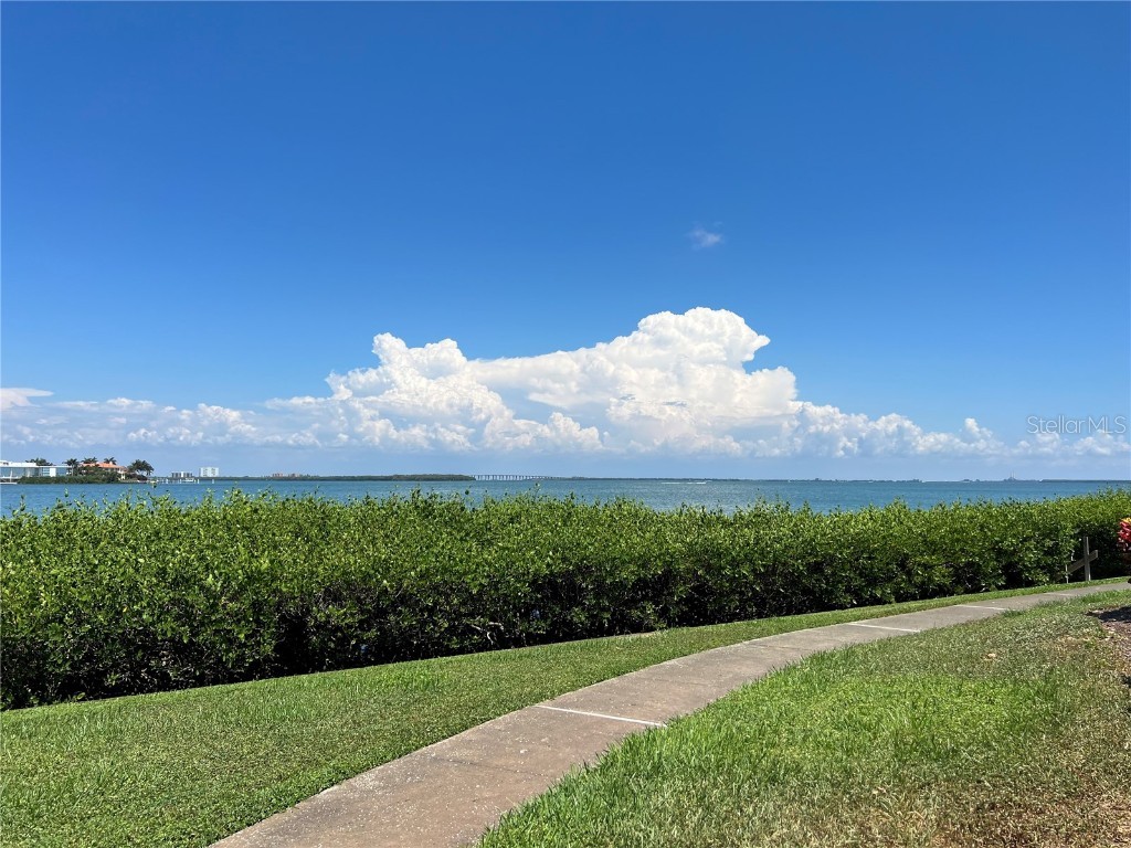 6268 Palma Del Mar Boulevard S #109 Saint Petersburg FL 33715 - TAMPA BAY TB8407893 image30