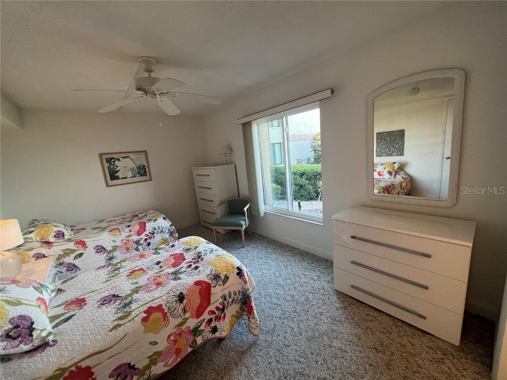 6268 Palma Del Mar Boulevard S #109 Saint Petersburg FL 33715 - TAMPA BAY TB8407893 image38