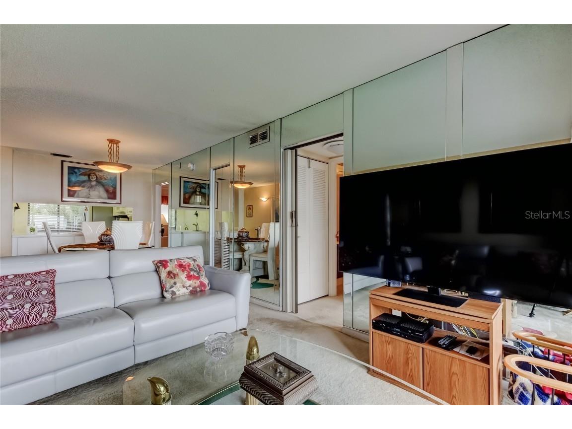 6268 Palma Del Mar Boulevard S #213 Saint Petersburg FL 33715 TB8429300 image12