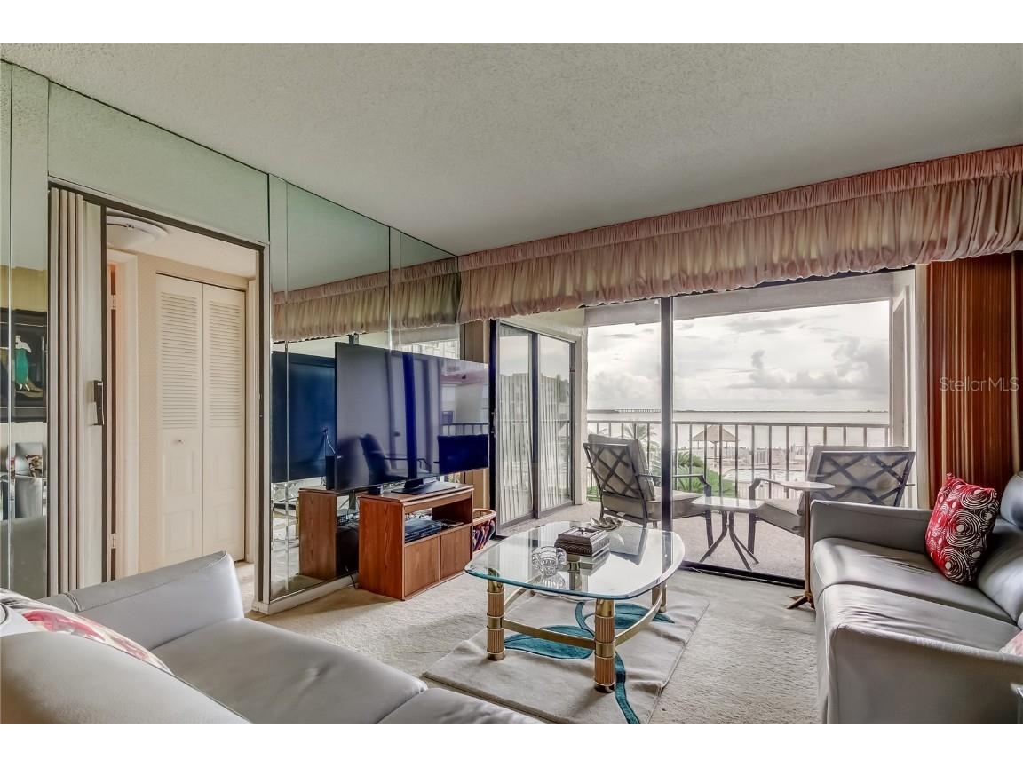 6268 Palma Del Mar Boulevard S #213 Saint Petersburg FL 33715 TB8429300 image25