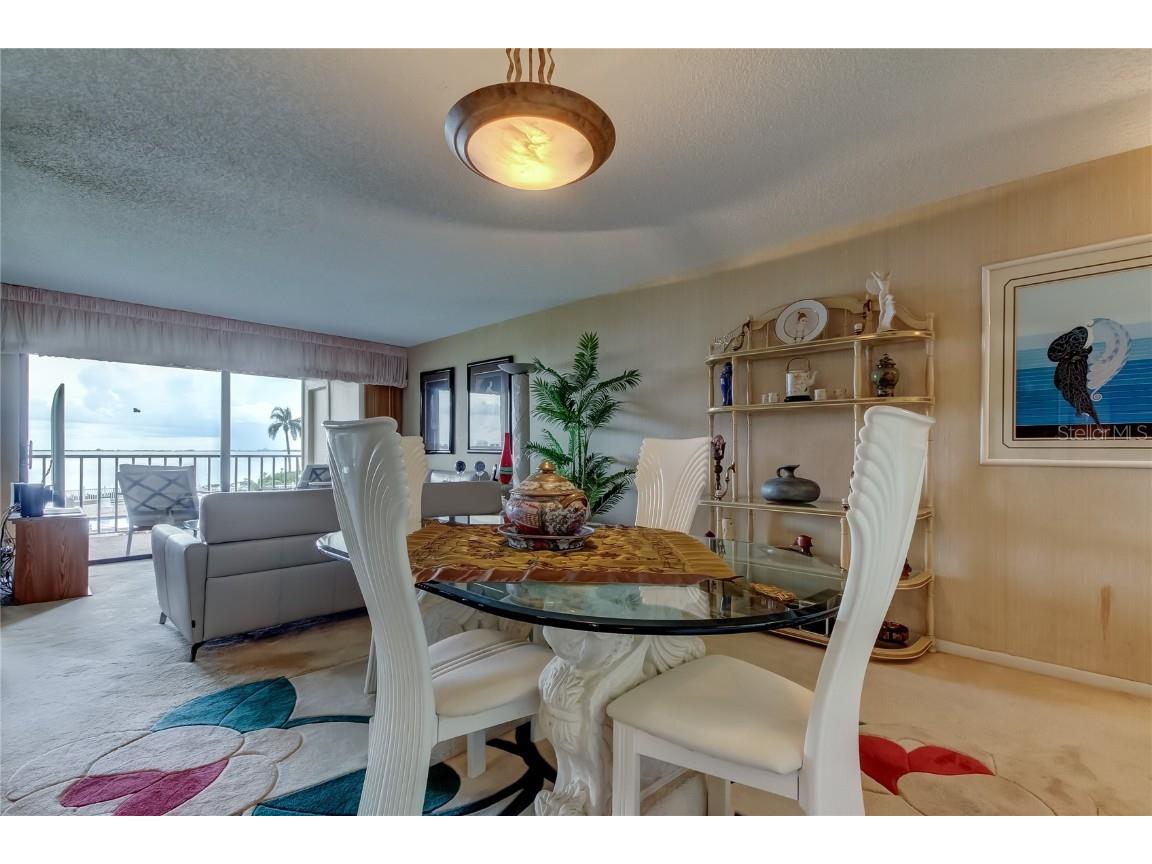 6268 Palma Del Mar Boulevard S #213 Saint Petersburg FL 33715 TB8429300 image6