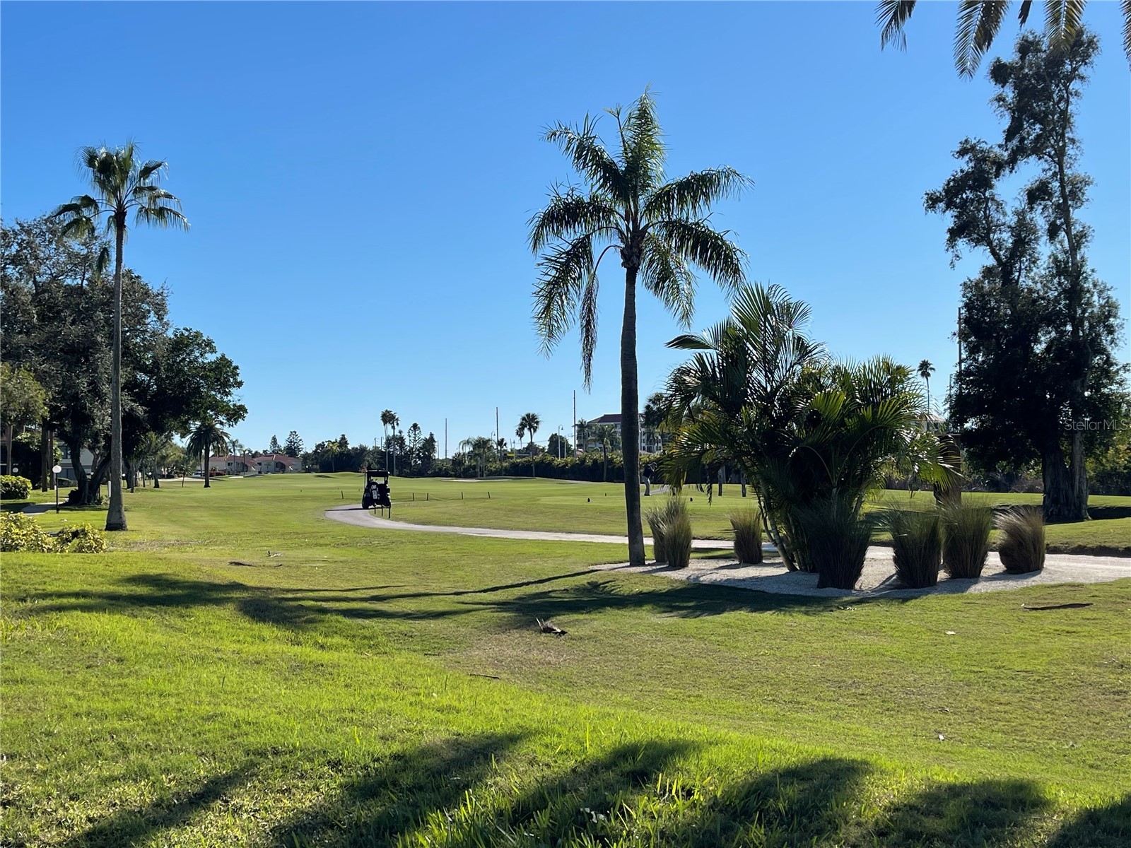 6269 Palma Del Mar Boulevard #116 Saint Petersburg FL 33715 TB8464113 image25