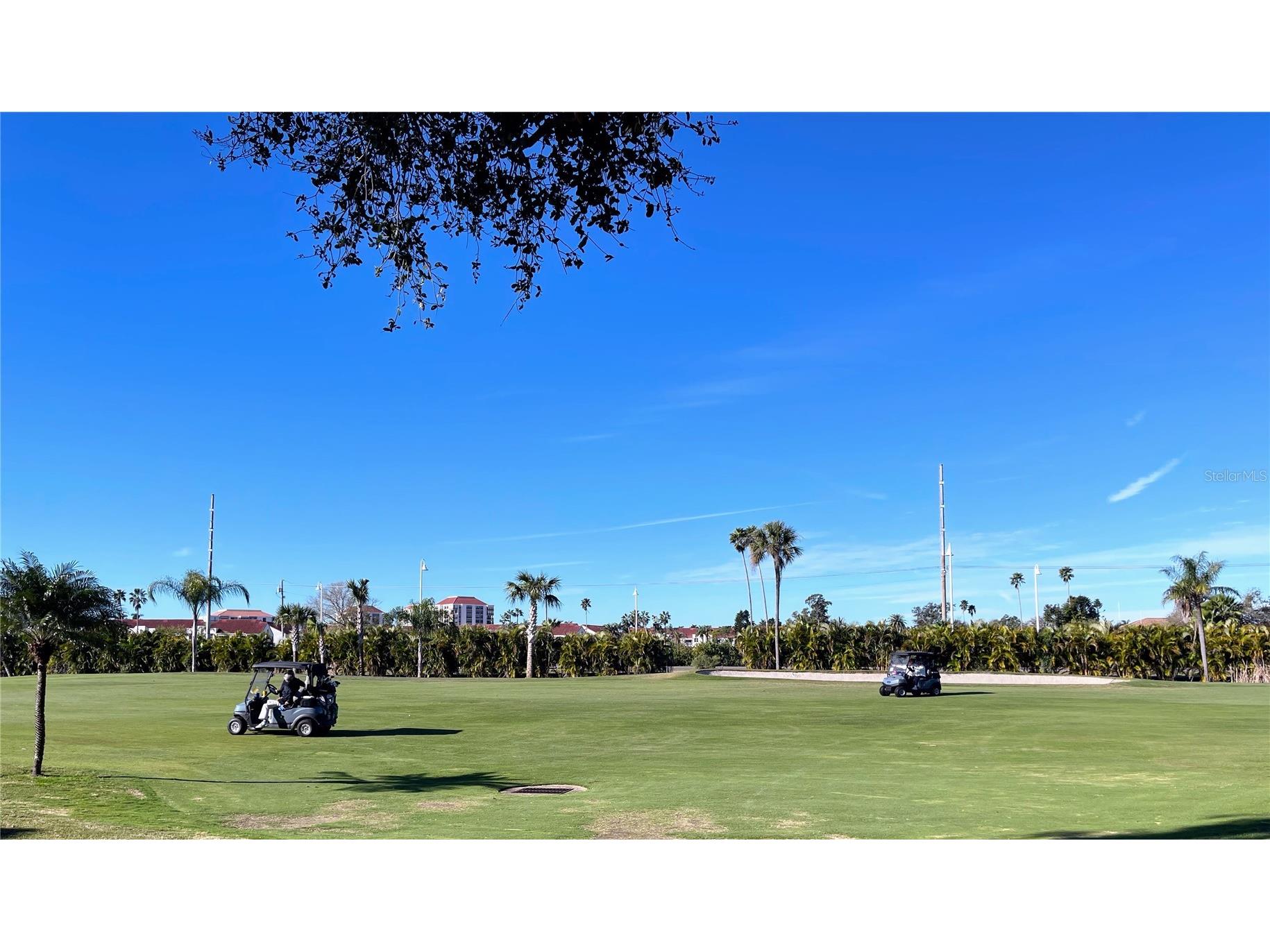 6269 Palma Del Mar Boulevard #116 Saint Petersburg FL 33715 TB8464113 image30