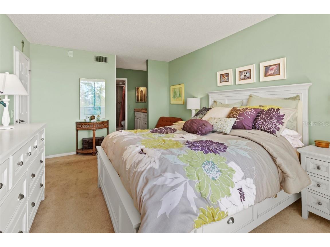 6269 Palma Del Mar Boulevard S #308 Saint Petersburg FL 33715 - TAMPA BAY A4673058 image14