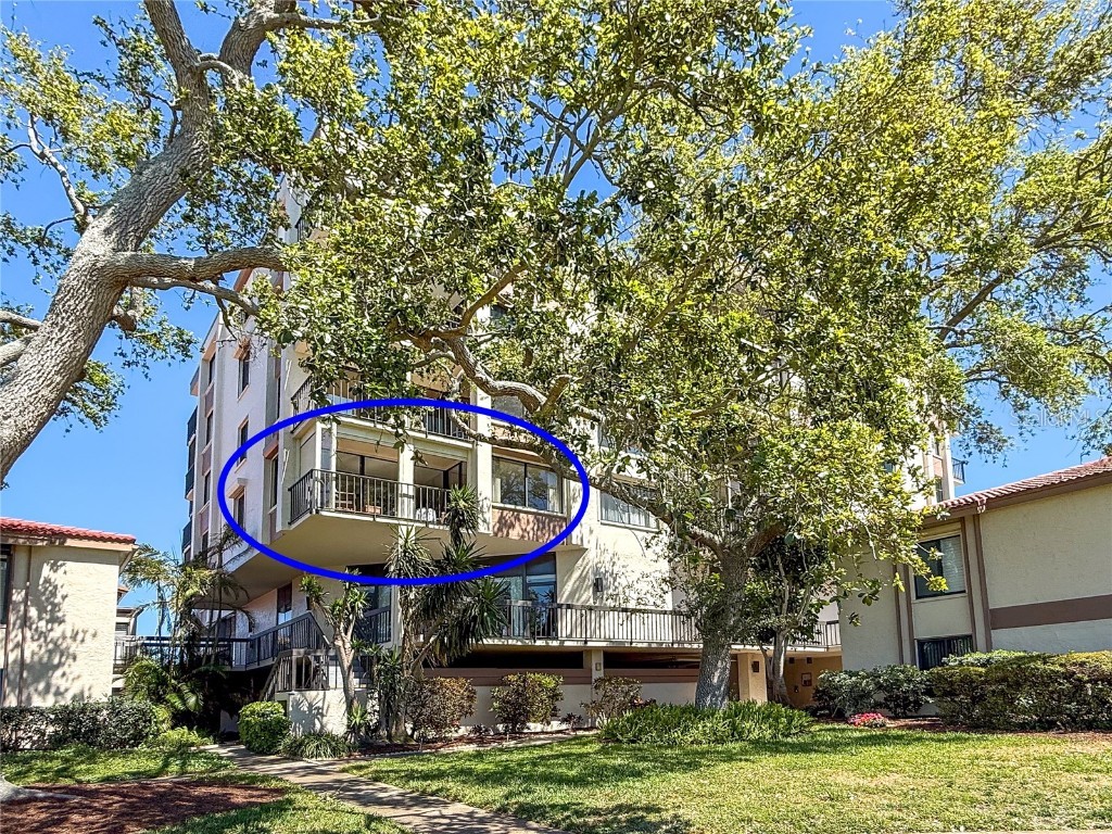 6269 Palma Del Mar Boulevard S #308 Saint Petersburg FL 33715 - TAMPA BAY A4673058 image19