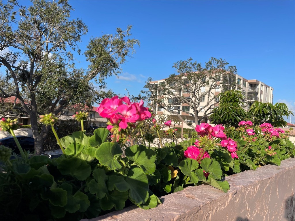 6269 Palma Del Mar Boulevard S #308 Saint Petersburg FL 33715 - TAMPA BAY A4673058 image27