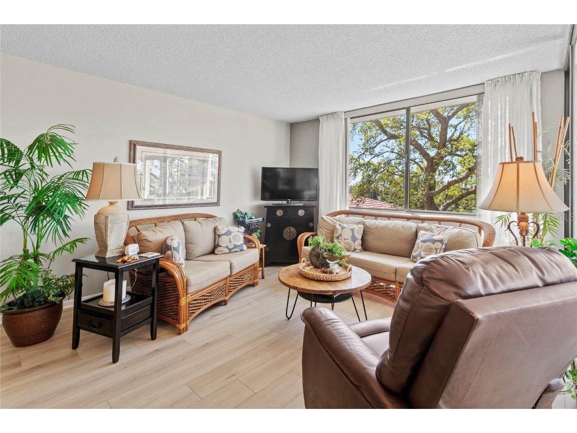 6269 Palma Del Mar Boulevard S #308 Saint Petersburg FL 33715 - TAMPA BAY A4673058 image8