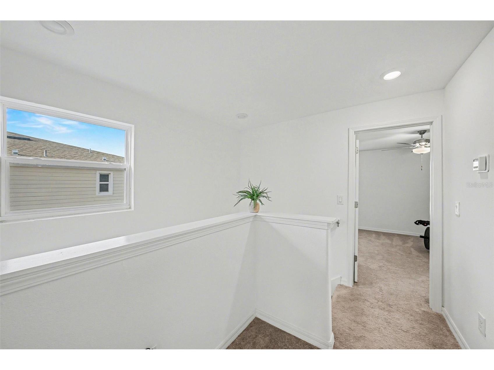 6269 Shiner Street Land O Lakes FL 34638 TB8482667 image12