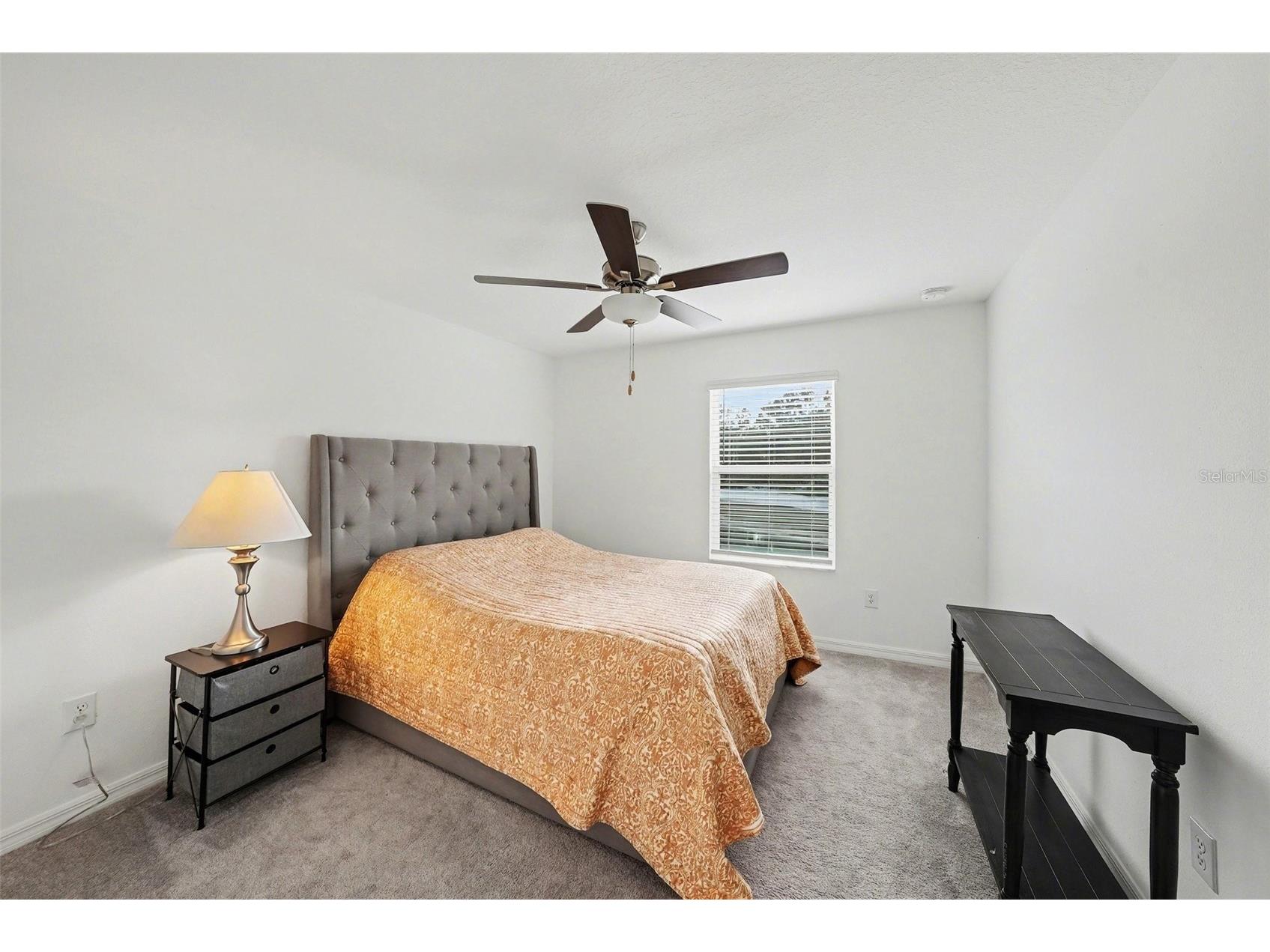 6269 Shiner Street Land O Lakes FL 34638 TB8482667 image15