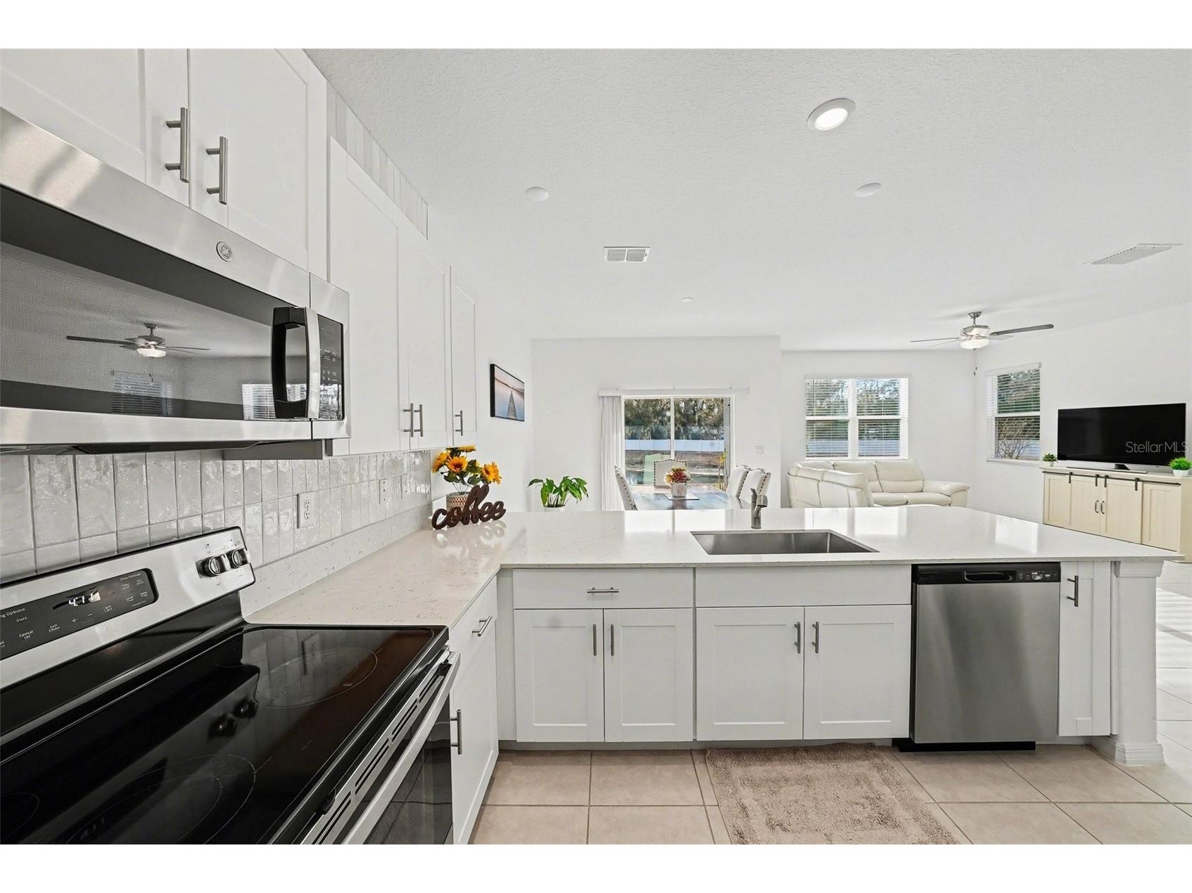 6269 Shiner Street Land O Lakes FL 34638 TB8482667 image9