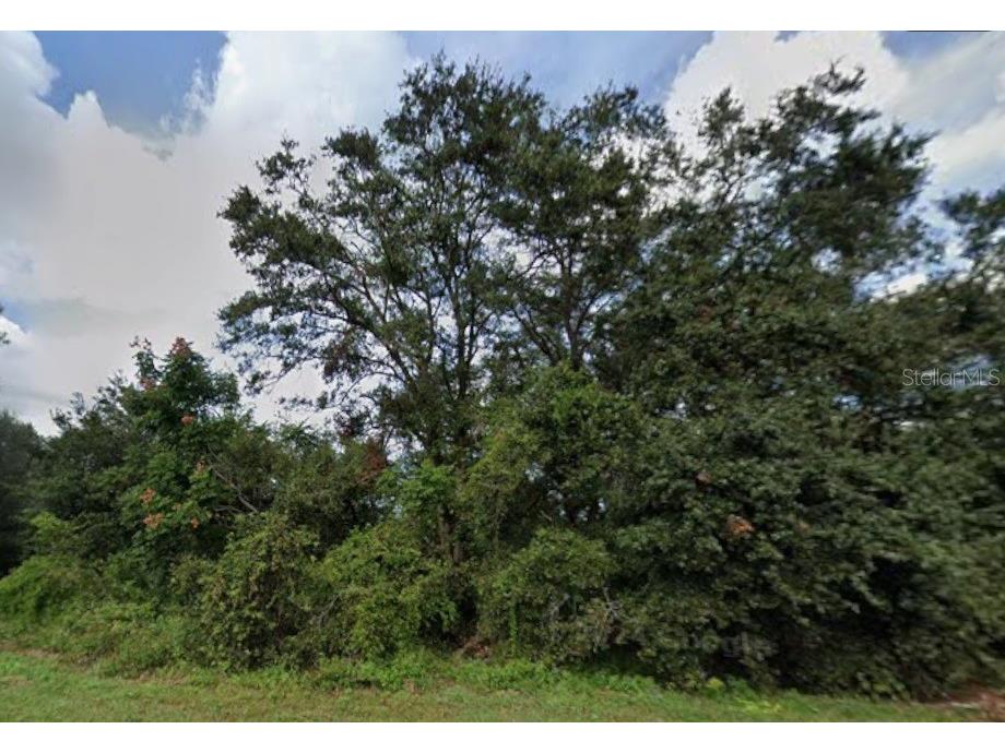 627 Citrus Grove Boulevard N Polk City FL 33868 O6384017 image1