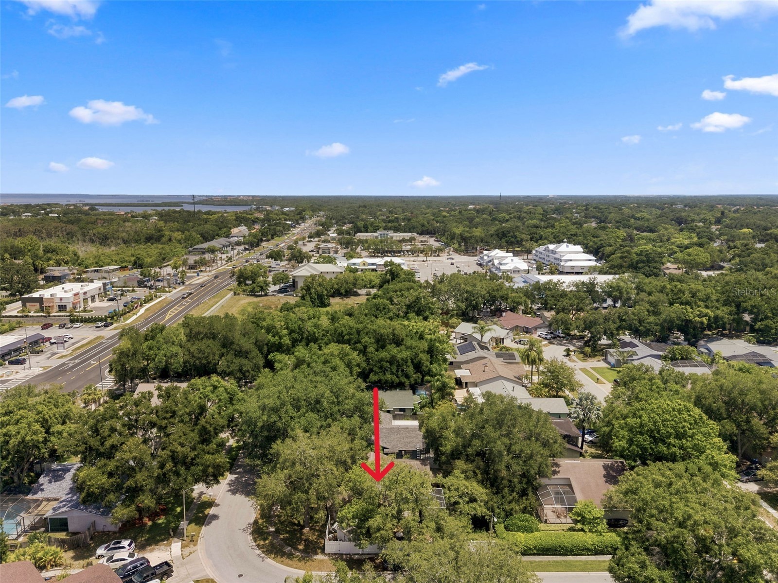 627 Crystal Dr Palm Harbor FL 34683 TB8528554 image2