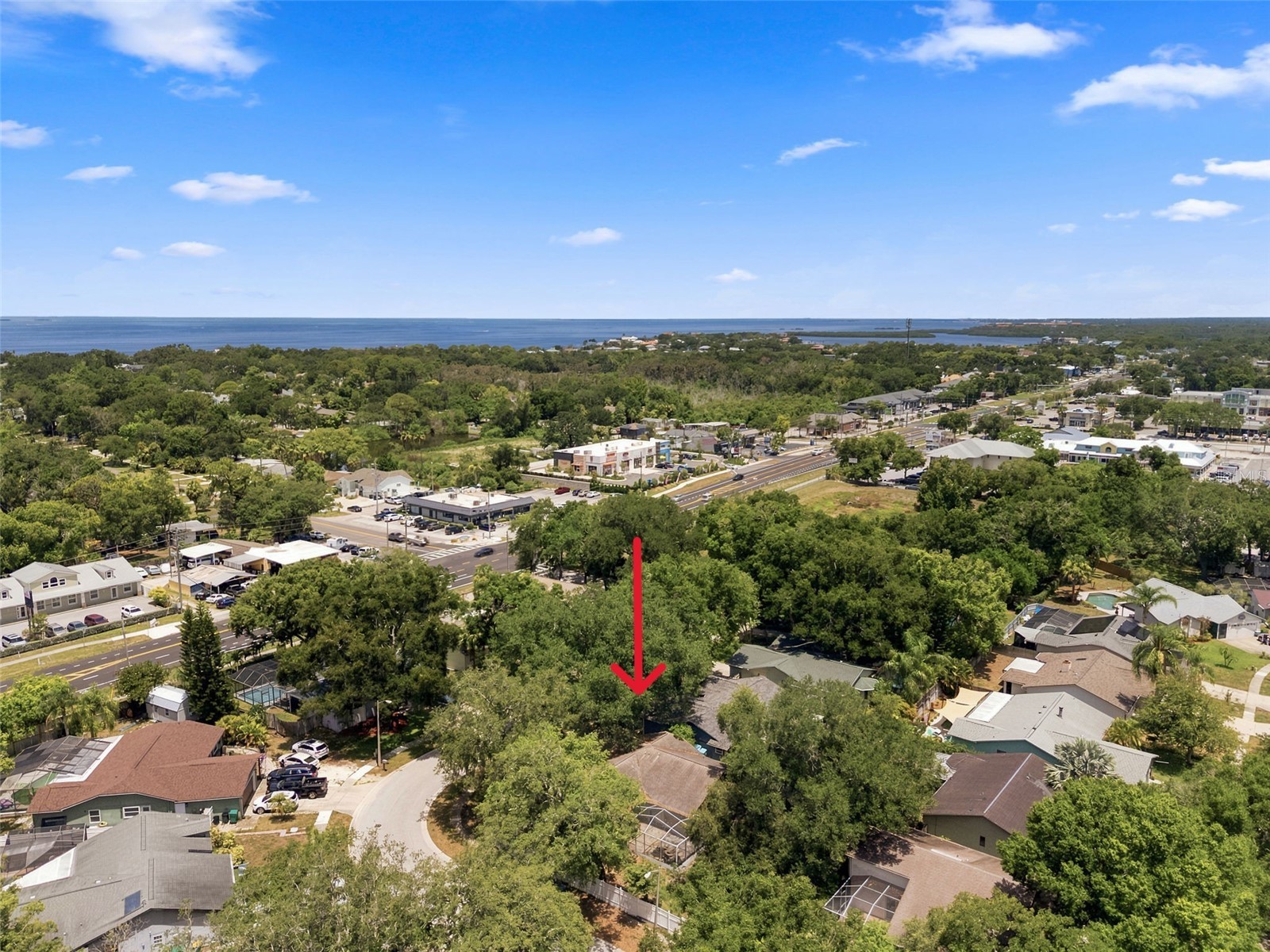 627 Crystal Dr Palm Harbor FL 34683 TB8528554 image3