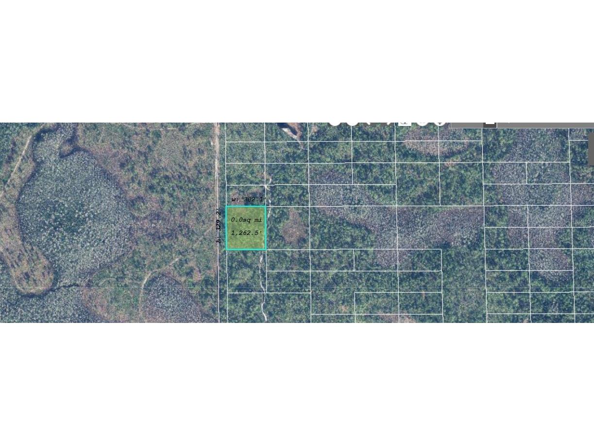 627 Dill Road Orlando FL 32820 O6244650 image3