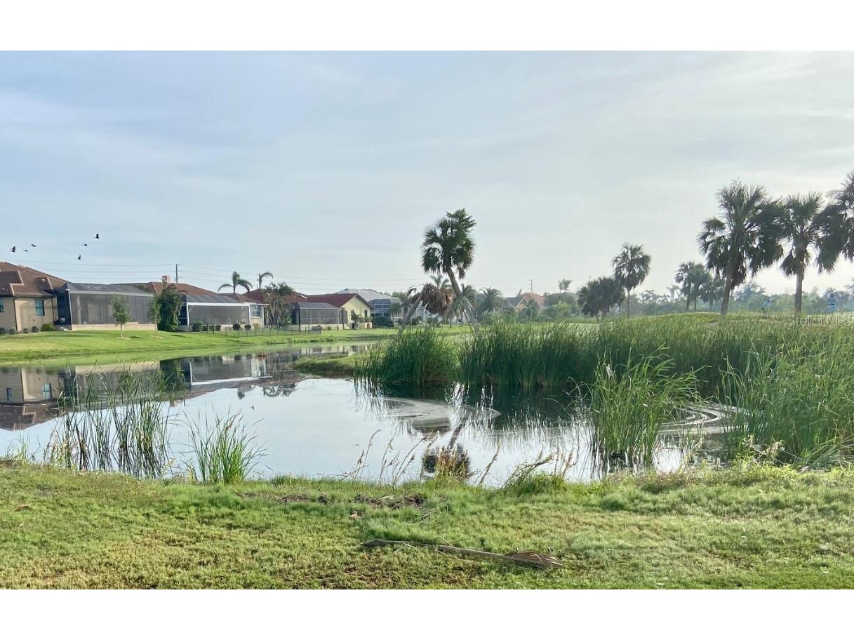 627 Monaco Drive Punta Gorda FL 33950 - TICC GOLF COURSE LAKE C7499223 image9