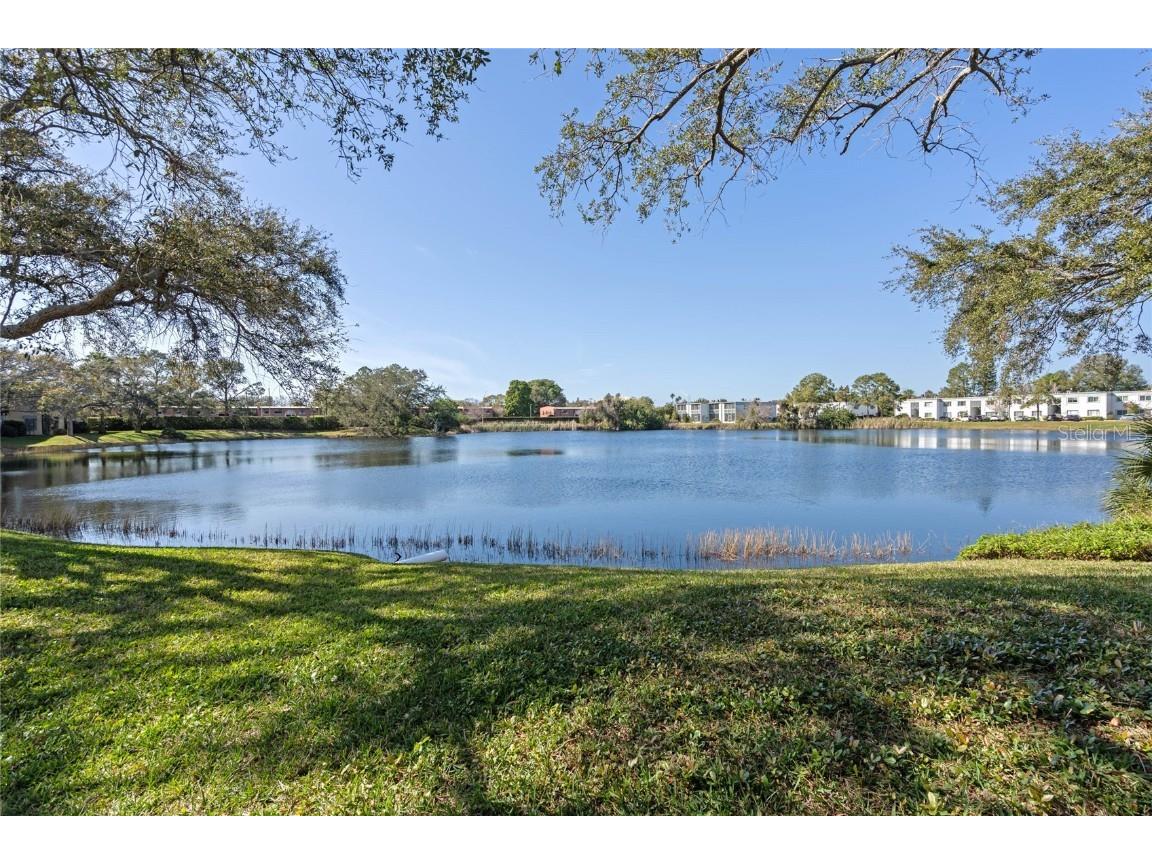 627 N Keene Road #T-4 Clearwater FL 33755 S5080592 image1
