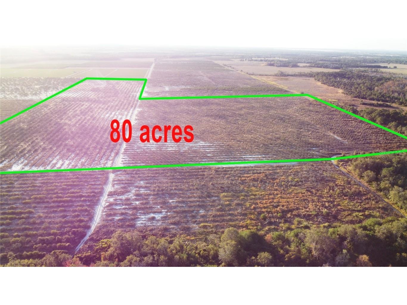 627 Raulerson Road Frostproof FL 33843 TB8461711 image3