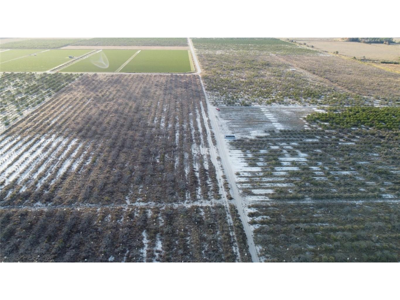 627 Raulerson Road Frostproof FL 33843 TB8461711 image7