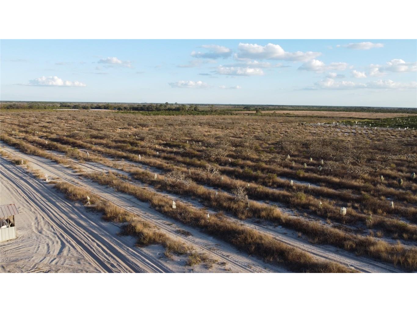 627 Raulerson Road Frostproof FL 33843 TB8461711 image8