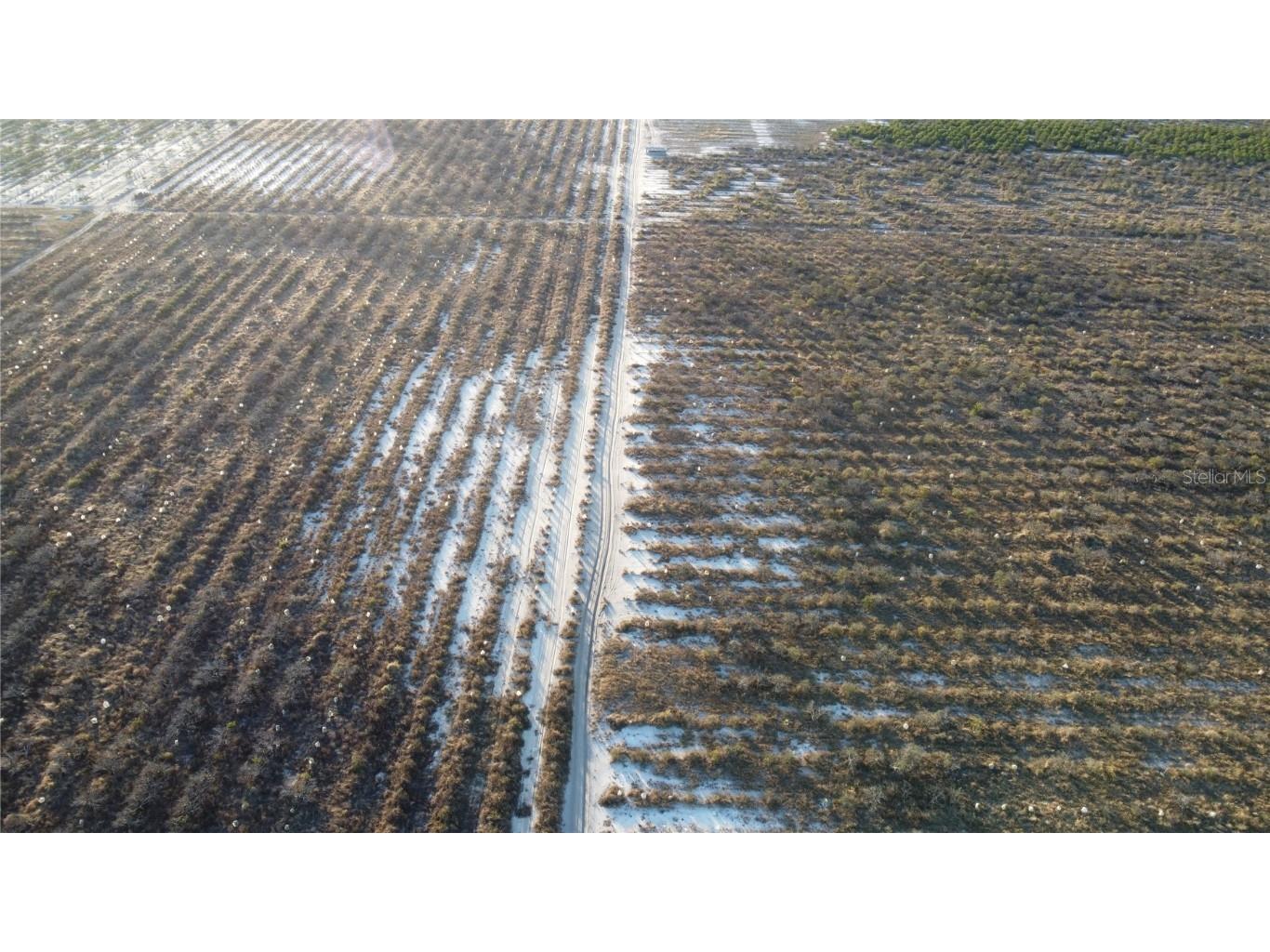 627 Raulerson Road Frostproof FL 33843 TB8461711 image9