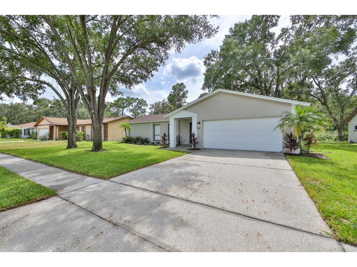 627 Sandy Creek Drive Brandon FL 33511 T3474141 image1