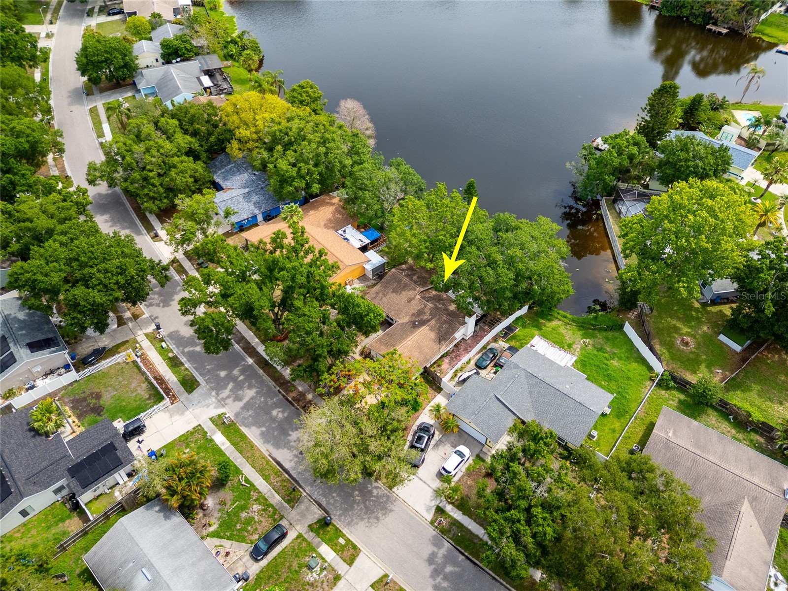 627 Timber Bay Circle W Oldsmar FL 34677 TB8513485 image2
