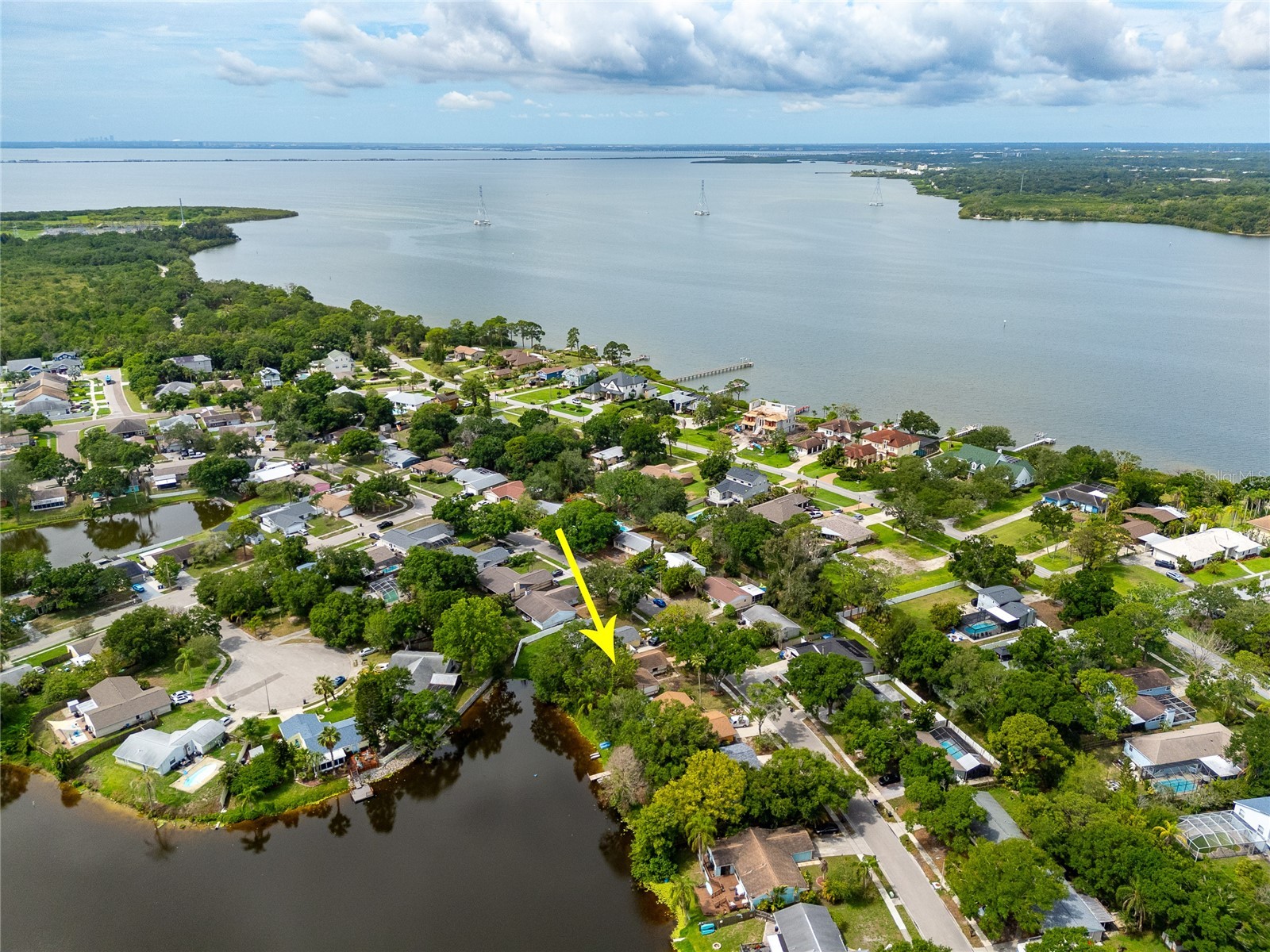 627 Timber Bay Circle W Oldsmar FL 34677 TB8513485 image41