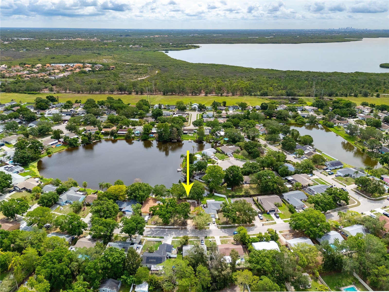 627 Timber Bay Circle W Oldsmar FL 34677 TB8513485 image42