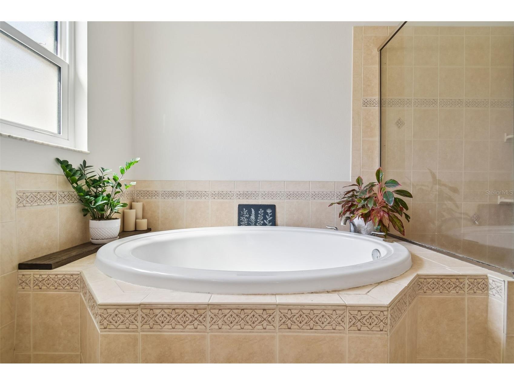 627 Tuscanny Street Brandon FL 33511 TB8495020 image33