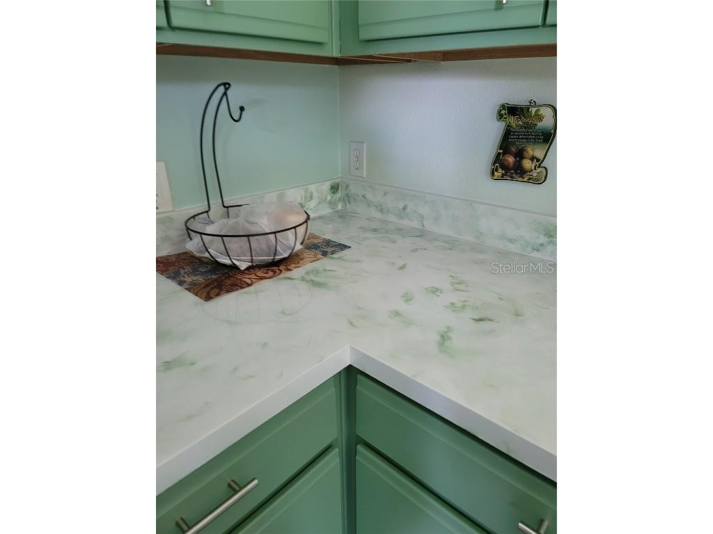 627 Vineyard Way Poinciana FL 34759 S5135979 image8