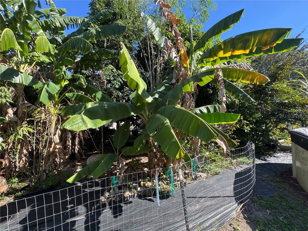 627 Woodland Creek Boulevard Kissimmee FL 34744 S5138644 image58