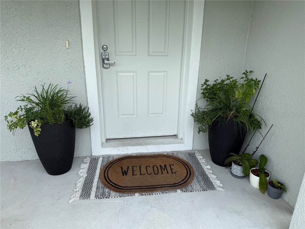 6270 Airmont Drive Spring Hill FL 34606 TB8426983 image2