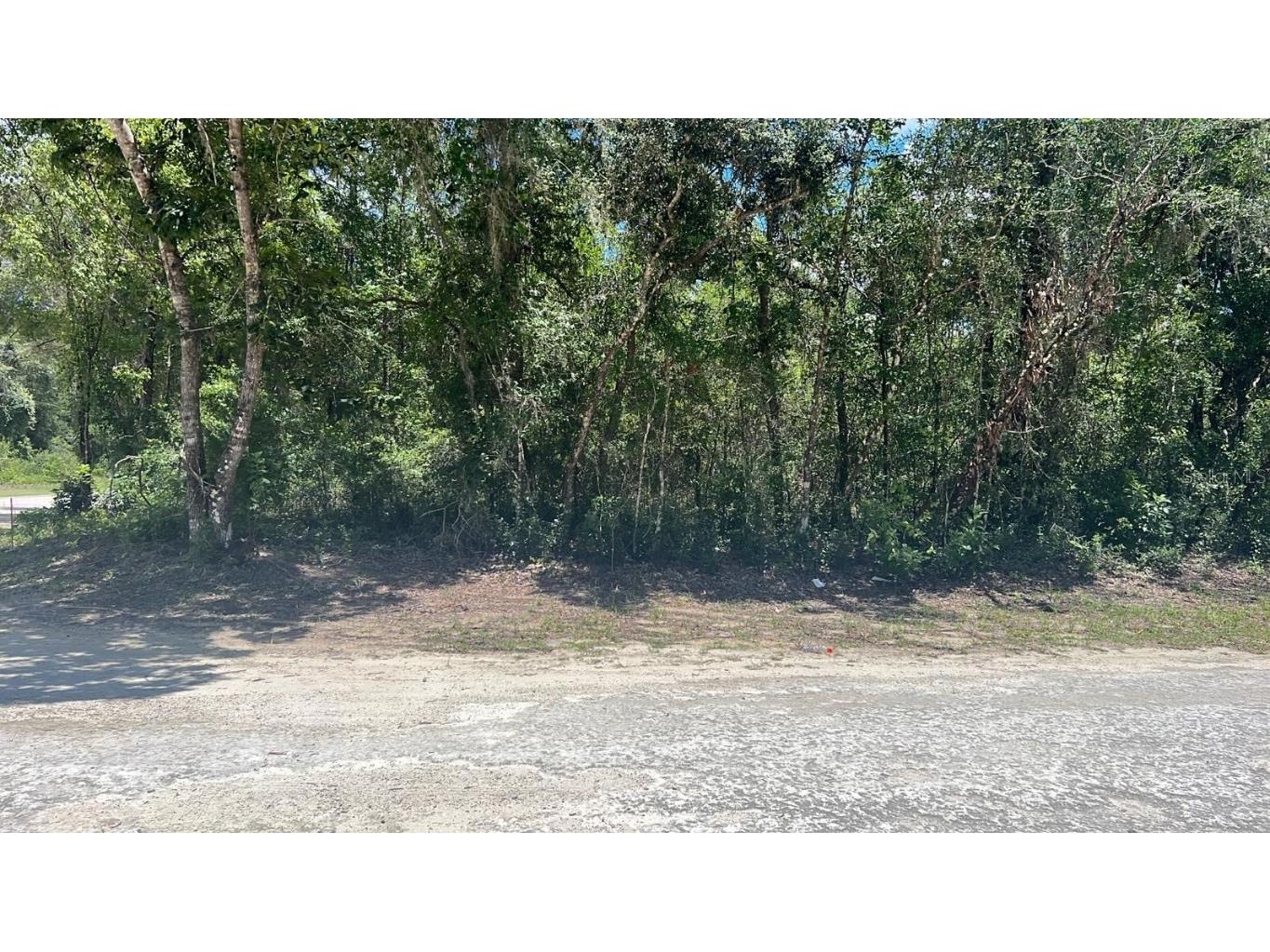 6270 Mike Lane Webster FL 33597 O6169384 image1