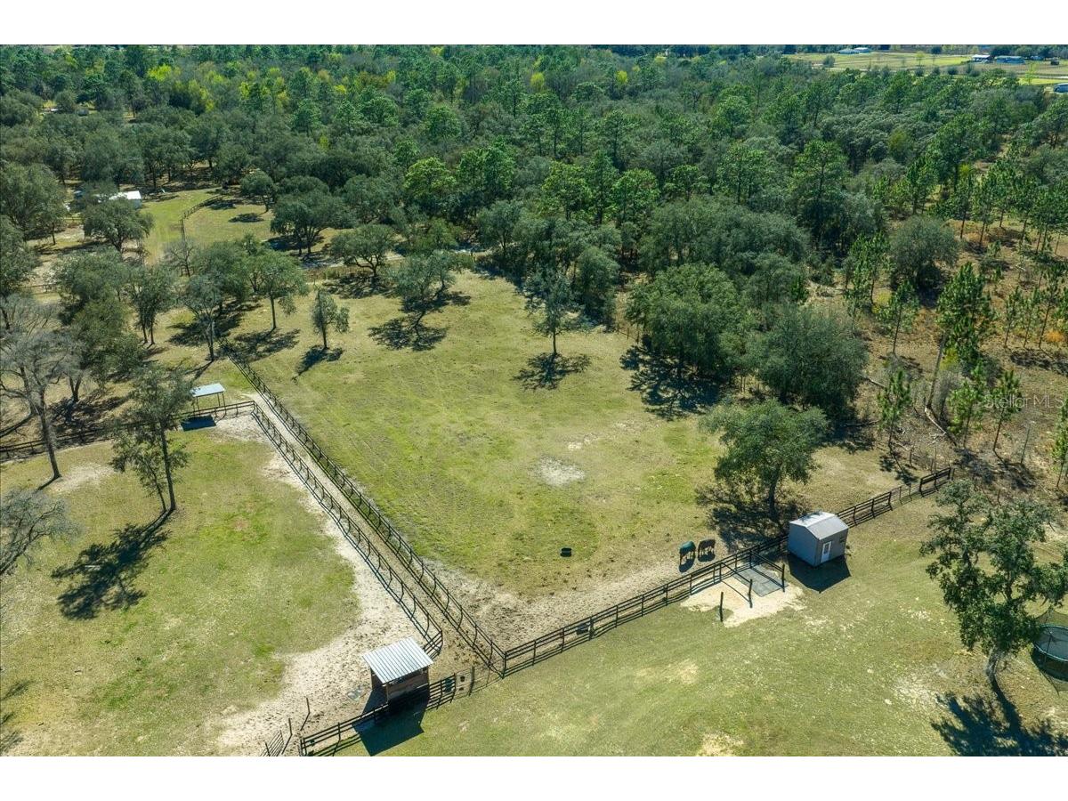 6270 SE 147th Court Morriston FL 32668 OM719361 image33
