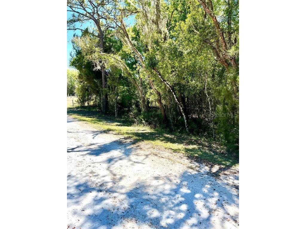 6271 Norman Street Webster FL 33597 T3434859 image1