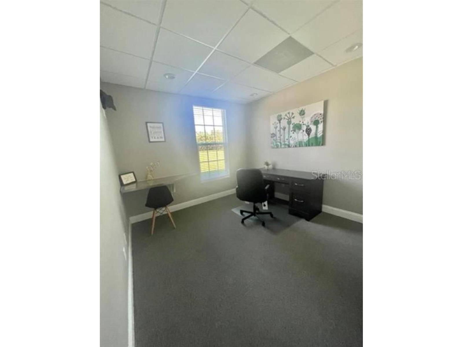 6272 Abbott Station Drive #101-20 Zephyrhills FL 33542 TB8478473 image9
