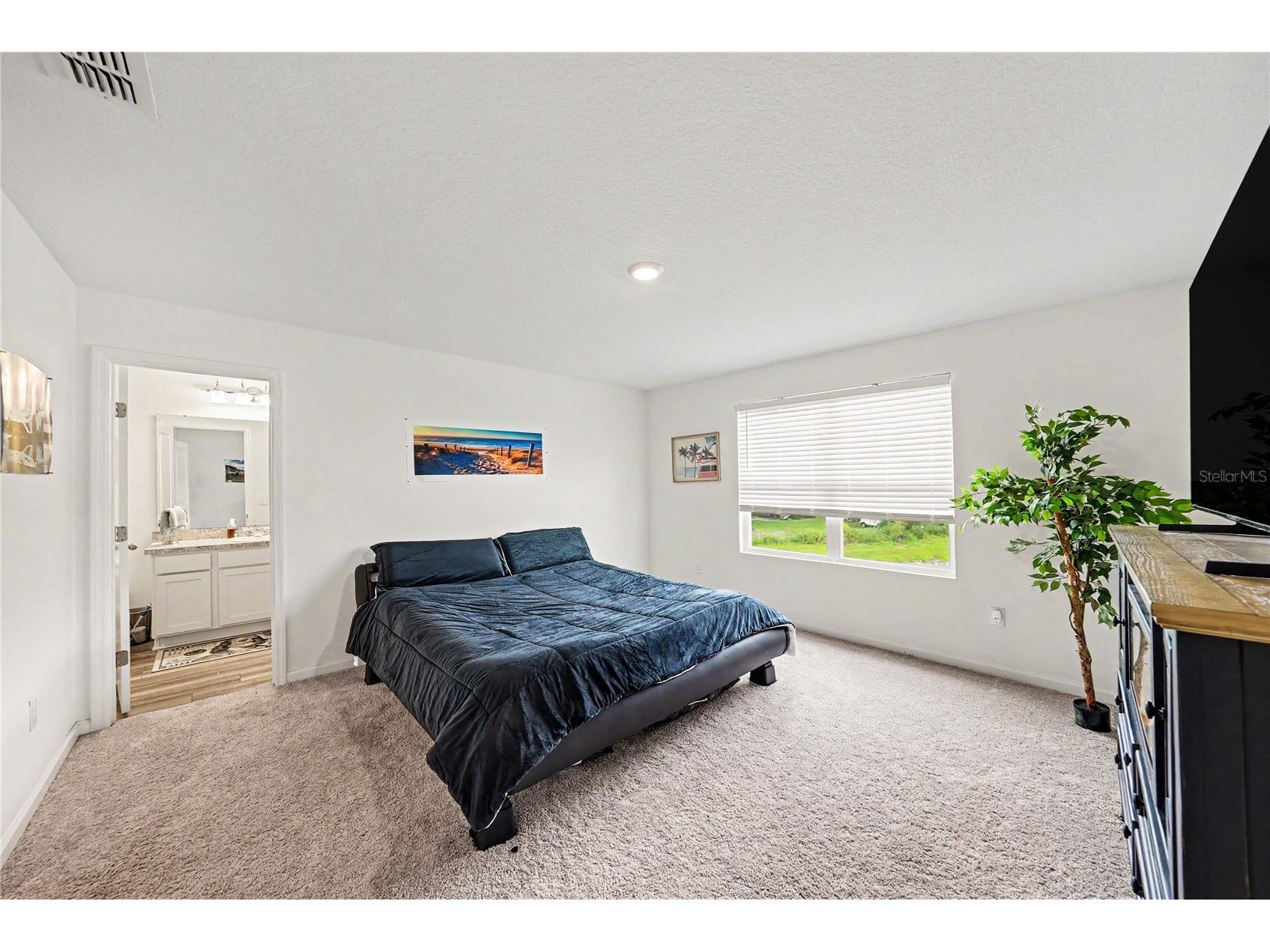 6272 Bucket Court Gibsonton FL 33534 TB8514662 image14