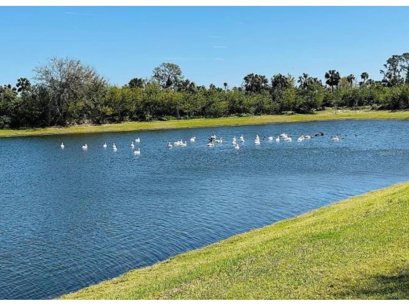 6272 Bucket Court Gibsonton FL 33534 TB8514662 image26